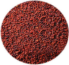 Red Millets
